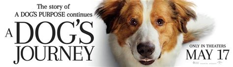 A Dog's Journey | Edmonton Movies