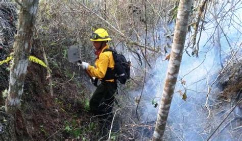 Brigada Forestal Municipal Sofoca Incendio En Volc N Jumay