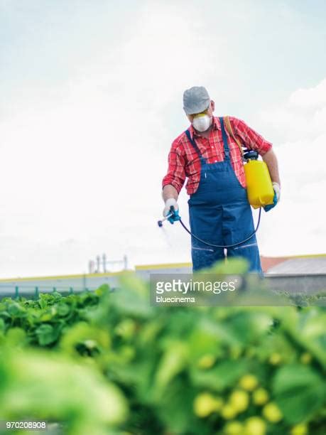 Cascade Plantation Photos And Premium High Res Pictures Getty Images