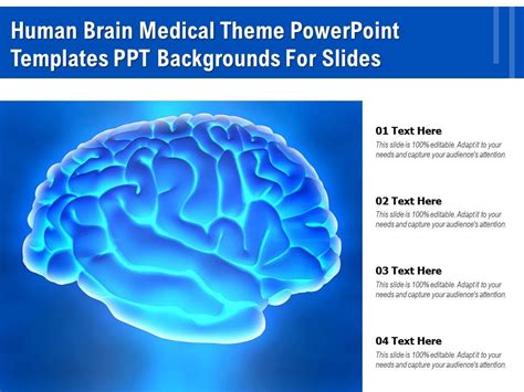 Human Brain Medical Theme Powerpoint Templates PPT Backgrounds For ...