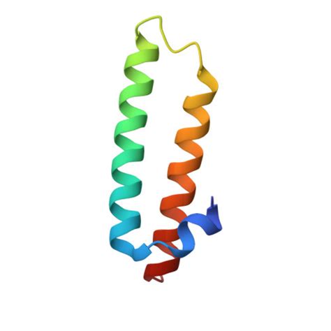 Rcsb Pdb 8g6x Structure Of Wt Li Ribosome 50s Subunit With