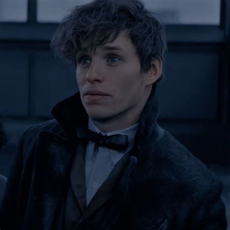 Newt Scamander Atores De Harry Potter Filme Animais Fant Sticos