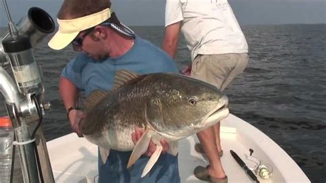 Red Drum On The Pamlico Mov Youtube