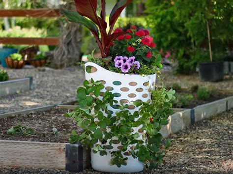 40 Diy Strawberry Planter Ideas For Container Planting