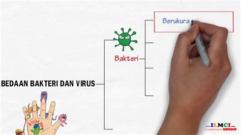 Perbedaan Bakteri Dan Virus Youtube