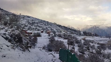 Uttarakhand Weather News Season First Snowfall In Auli Snowfall In Badrinath Kedarnath Hemkund