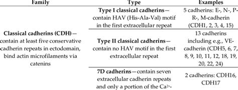 Classification of cadherin superfamily according to [8]. | Download ...