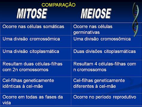 Biolugando MITOSE X MEIOSE