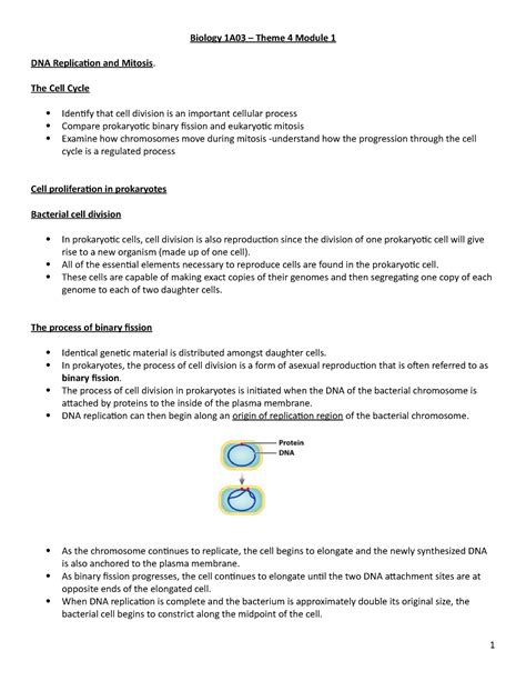 Biology A Theme Module Biology A Theme Module Dna