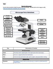 Benjamin Chao Microscope Parts Assignment Docx Name Parts Of A