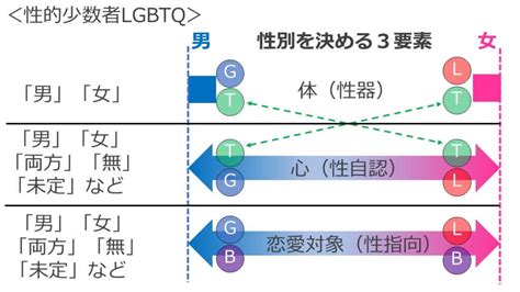 【性同一性障害特例法】lgbtqだけじゃない、性別は50種類以上 精神保健福祉士国試 2カ月で合格できる覚え方