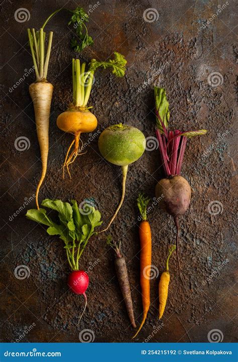 Fresh Root Vegetables On Textured Background Autumn Harvest Stock