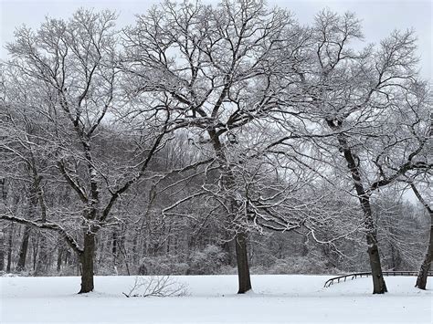 A Inch Snow Storm Blanketed New York City And Its Northe Flickr