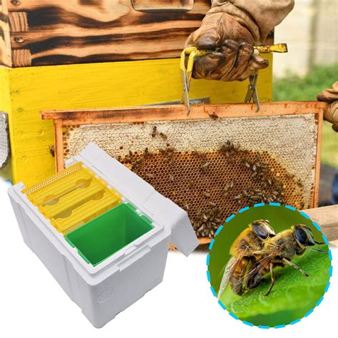 L Foam Bee Box Foam Bee Hive Queen Bee Rearing Beehive For Bee Mating