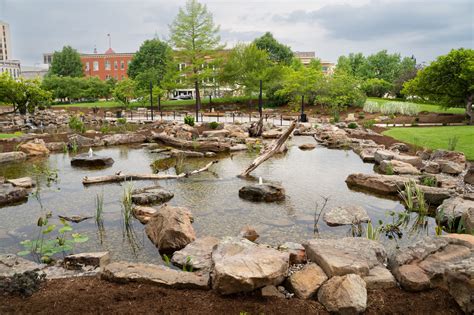 Landscapes Of The Month Revitalizing A Downtown Educational Ecosystem