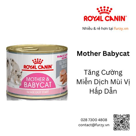 Royal Canin Thức Ăn Ướt Cho Mèo Mang Thai Và Sơ Sinh Mother Babycat