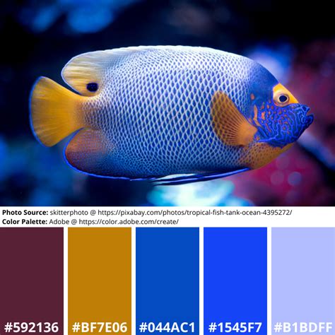 Free Mood Boards Vibrant Fish Themed Artverse