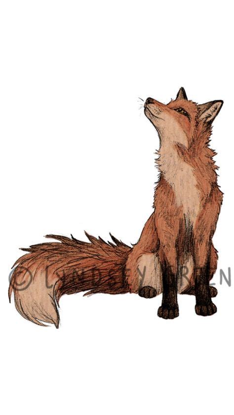 110 Fox Drawing Reference Ideas Fox Drawing Fox Art Animal Art