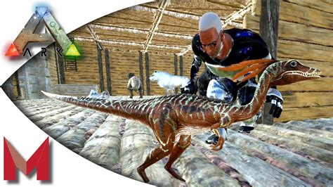 Ark survival evolved compy taming food