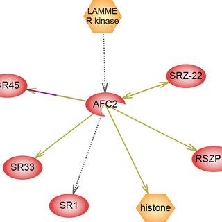 Network Of Differentially Expressed Protein Kinase Mk Afc In Wild