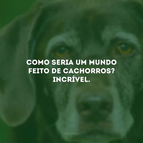 Frases De Amor Para Cachorro Que Enaltecem Seu C Opanheiro