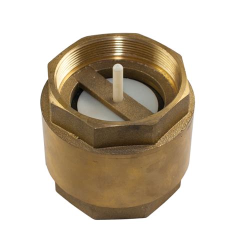 Spring Check Valve Brass Inch Non Return Valve