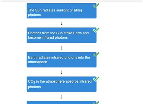 Arrange The Steps In Order To Describe How Photons And Carbon Dioxide