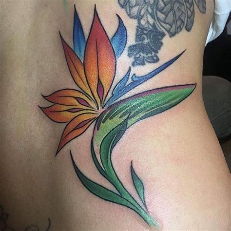 Bird Of Paradise Tattoo Meaning