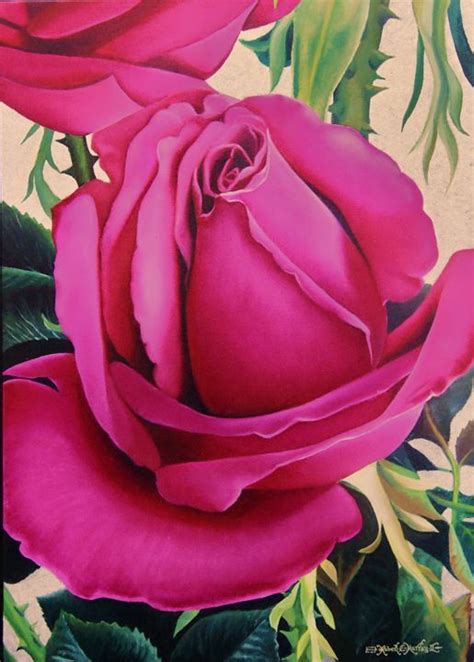 Fuchsia Roses Robert C Murray Ii