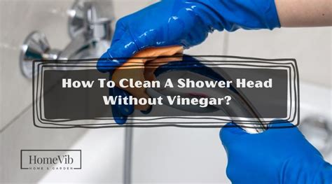 How To Clean A Shower Head Without Vinegar Homevib