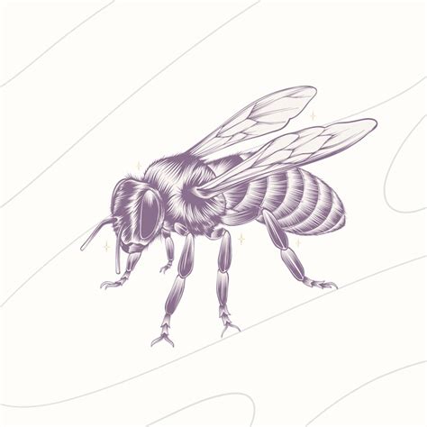 Illustration De Dessin D Abeille Dessin La Main Vecteur Gratuite