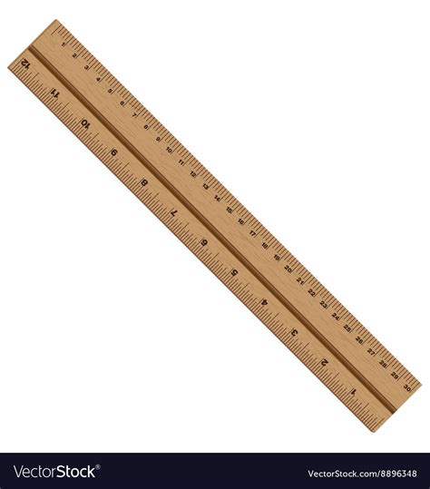 Ruler Wooden Isolated On White Background Vector Image