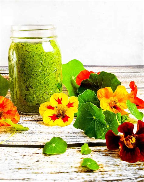 Nasturtium Pesto Recipes In Season Ask The Food Geek