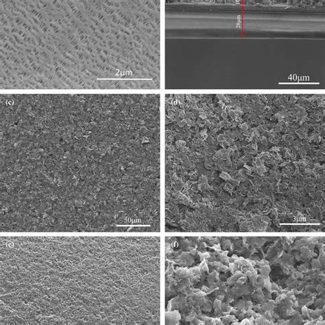 SEM Images Of A The Surface Of Pristine Separator B The Cross Section