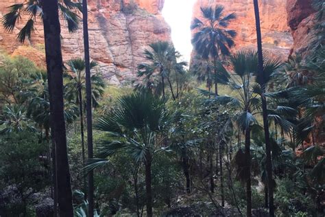 Purnululu National Park