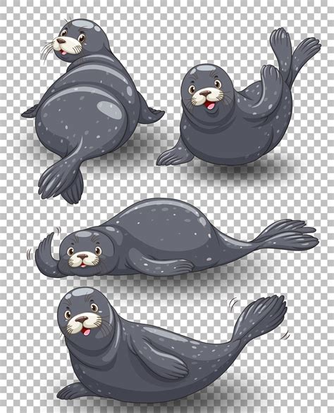 Set of seal cartoon 1418801 Vector Art at Vecteezy