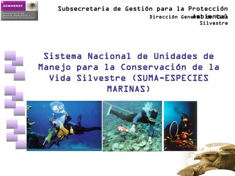 Ppt Sistema Nacional De Unidades De Manejo Para La Conservaci N De La