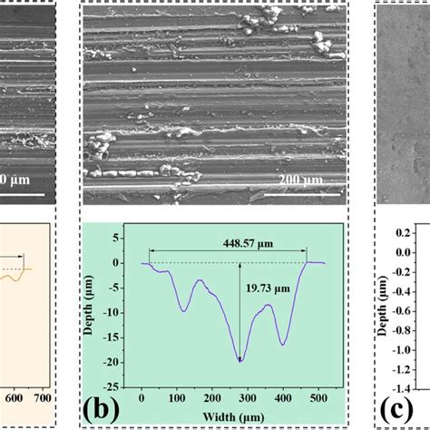 Sem Pictures And Section Profiles Of The Wear Track Of Specimens A