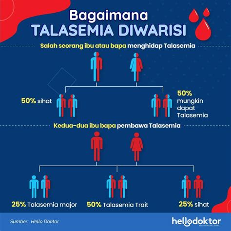 Thalassaemia Menyebabkan Pembentukan Yang Tidak Normal Pada Diri