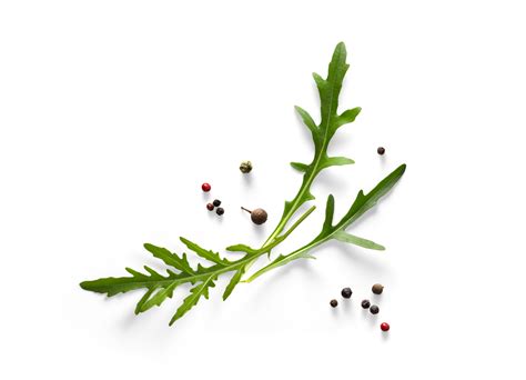 Collection Of Fresh Herb Leaves Arugula Spices Herbs Png Food