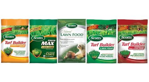 Best Scotts Lawn Fertilizer - 2020 Reviews