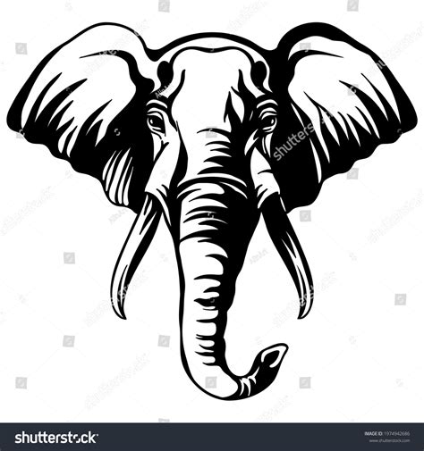 Elephant Head Logo Vector