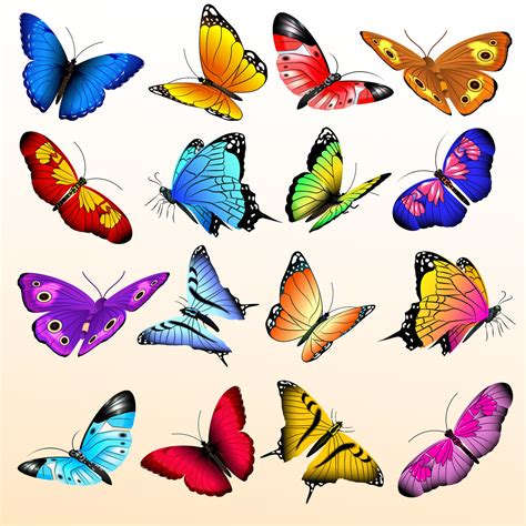 Colorful Realistic Butterflies Big Vector Set By Microvector