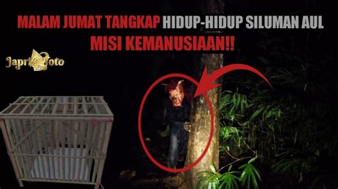 Live Misteri Malam Jumat Tangkap Hidup Siluman Aul Youtube