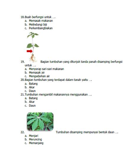 Contoh Soal Dan Pembahasan Materi Elips Rumus Volume Bola Dan Luas