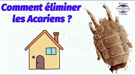 Comment se débarrasser des Acariens et éviter l allergie YouTube