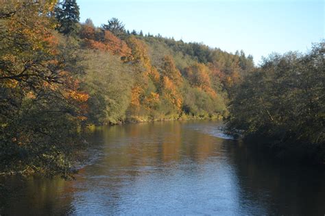 Fall Into Autumn In East Grays Harbor County Greater Grays Harbor