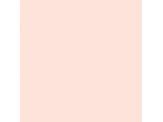 Aristocrat Peach SW0027 Paint By Sherwin Williams Modlar