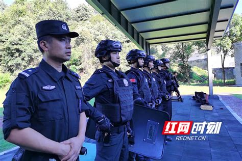 株洲市公安局特警支队一大队：淬火成钢铸利剑 实战强警炼精兵部门·株洲株洲站红网