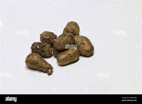 Dioscorea Mun Neb Thai Word Fresh Dioscorea Tuck Dioscorea Slats
